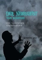 bokomslag Der Nebelgeist vom Bodensee