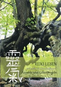 bokomslag Reiki leben
