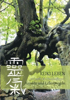 bokomslag Reiki leben