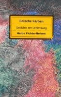 bokomslag Falsche Farben