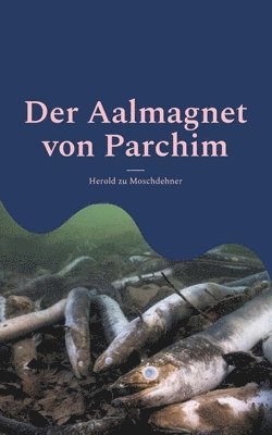 bokomslag Aalmagnet von Parchim