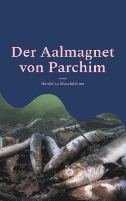 bokomslag Der Aalmagnet von Parchim