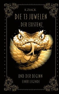 bokomslag 13 Juwelen der Existenz
