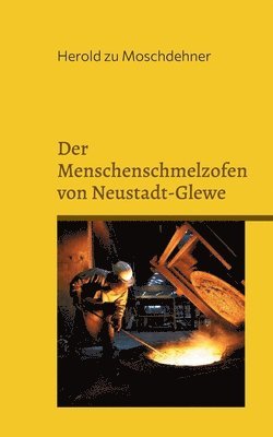 bokomslag Menschenschmelzofen von Neustadt-Glewe