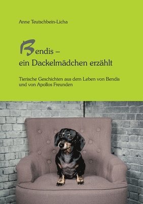 bokomslag Bendis - ein Dackelmädchen erzählt