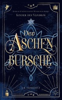 bokomslag Aschenbursche