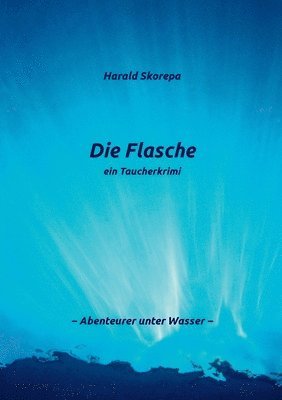 Harald Skorepa - Flasche, Häftad