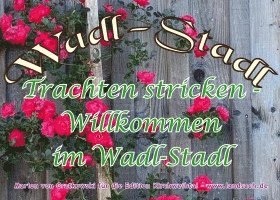 bokomslag Trachten stricken - Willkommen im Wadl-Stadl
