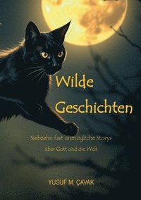 bokomslag Wilde Geschichten: Siebzehn fast unmögliche Storys über Gott und die Welt