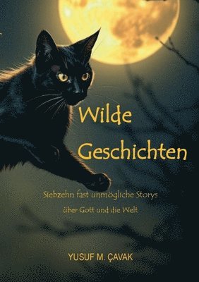 Wilde Geschichten: Siebzehn fast unmögliche Storys über Gott und die Welt 1