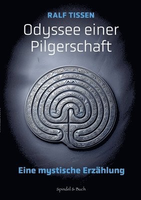 bokomslag Odyssee einer Pilgerschaft
