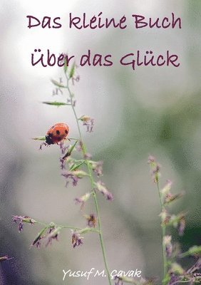 bokomslag Das kleine Buch ber das Glcks