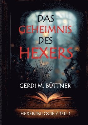 bokomslag Das Geheimnis des Hexers: Hexer-Trilogie Teil 1