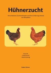 bokomslag Hühnerzucht: Verschiedene Zuchtmethoden und ihr Erklärung anhand von Beispielen / Inzucht-Linienzucht-Auskreuzung