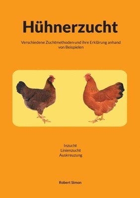 Hühnerzucht