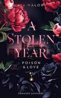 bokomslag A stolen Year