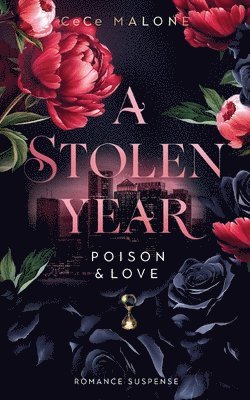 bokomslag A stolen Year