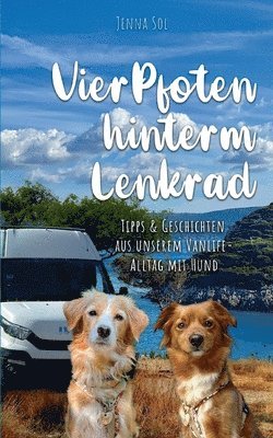 Vier Pfoten hinterm Lenkrad 1