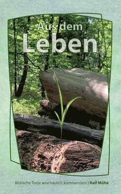 Aus dem Leben: Biblische Texte anschaulich kommentiert 1