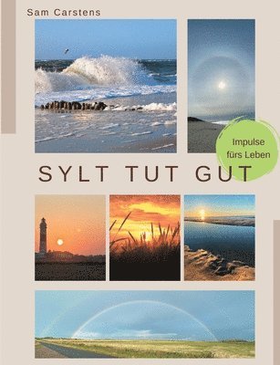 bokomslag Sylt tut gut
