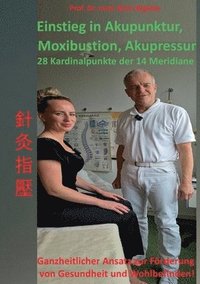 bokomslag Einstieg in Akupunktur, Moxibustion, Akupressur: 28 Kardinalpunkte der 14 Meridiane