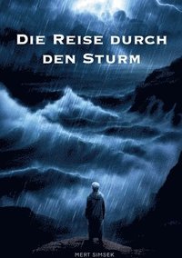 bokomslag Die Reise durch den Sturm