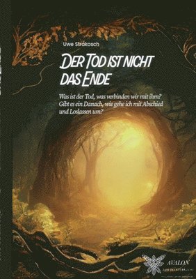 bokomslag Der Tod ist nicht das Ende