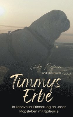 bokomslag Timmys Erbe