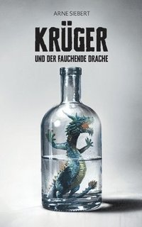 bokomslag Krüger und der fauchende Drache