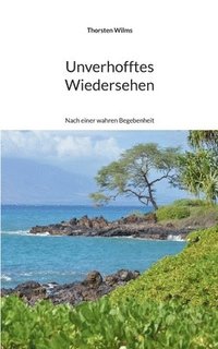 bokomslag Unverhofftes Wiedersehen: Nach einer wahren Begebenheit