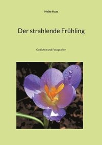 bokomslag Der strahlende Frhling