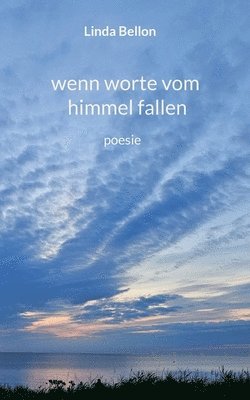 bokomslag wenn worte vom himmel fallen