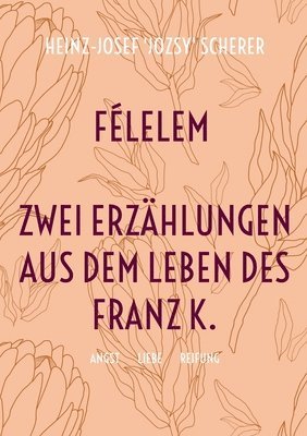 bokomslag Félelem Zwei Erzählungen aus dem Leben des Franz K.