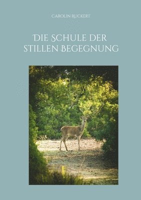 bokomslag Schule der stillen Begegnung