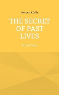 bokomslag The Secret of Past Lives