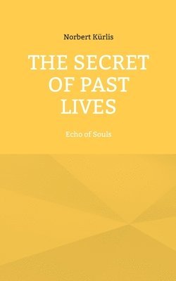 The Secret of Past Lives: Echo of Souls 1