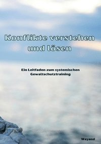 bokomslag Konflikte verstehen und lsen