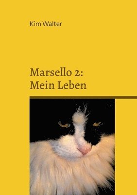 bokomslag Marsello 2: Mein Leben: Das Beste aus den Jahren 2021 - 2025