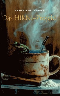 bokomslag Hirni-Projekt