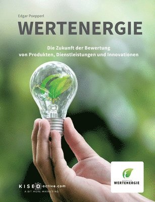 bokomslag Wertenergie: Die Zukunft der Bewertung von Produkten, Dienstleistungen und Innovationen