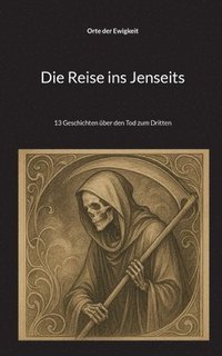 bokomslag Reise ins Jenseits