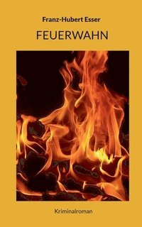 bokomslag Feuerwahn
