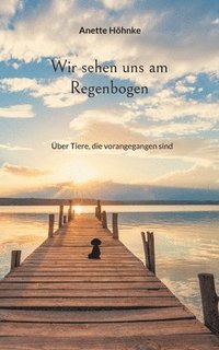 bokomslag Wir sehen uns am Regenbogen: Über Tiere, die vorangegangen sind
