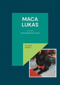 bokomslag Maca Lukas: Siete Hermosas Vidas