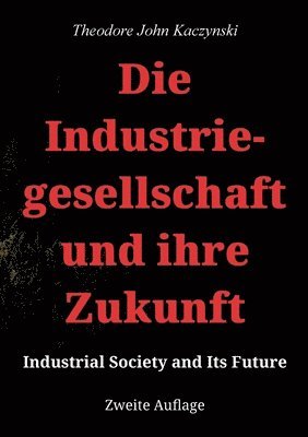 bokomslag Industriegesellschaft und ihre Zukunft