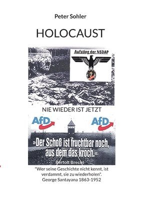 bokomslag Holocaust