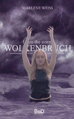 bokomslag Wolkenbruch