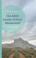 bokomslag Salares Letaler Grüner Wasserstoff
