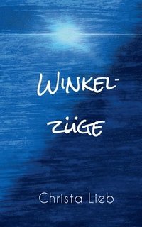 bokomslag Winkelzüge