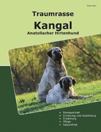 bokomslag Traumrasse Kangal